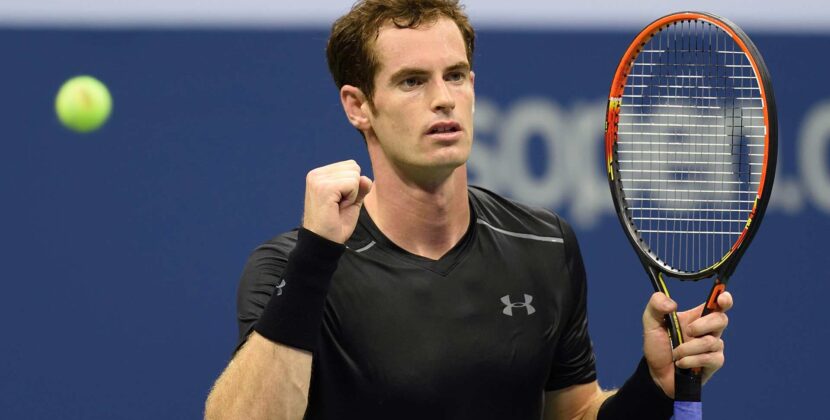 Andy Murray was knocked out in the Wimbledon quarter-finals